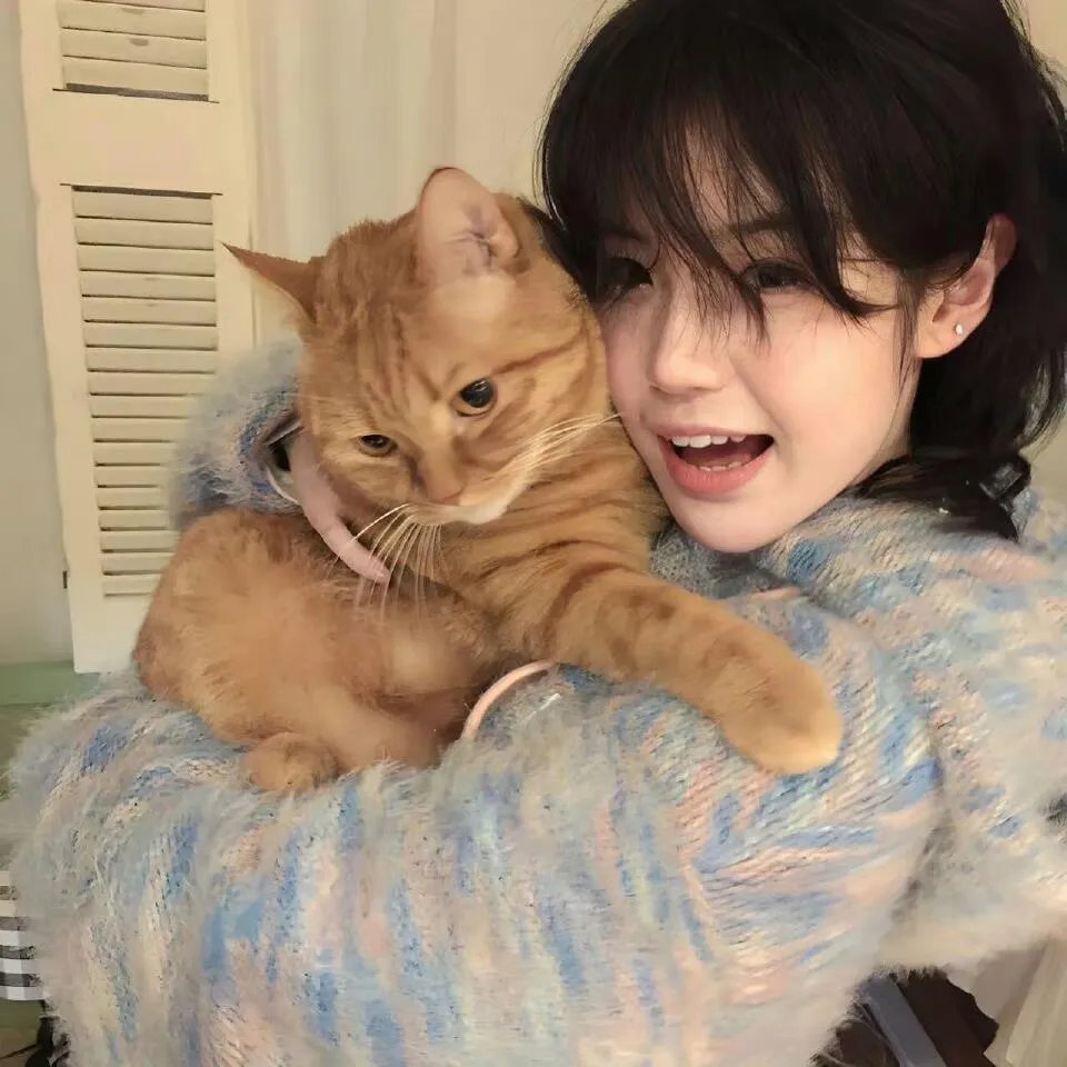 维多利亚春妮回家过年100招