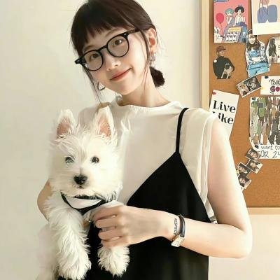 逐月之星之所向